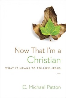 Now-that-im-a-Christian-406x600